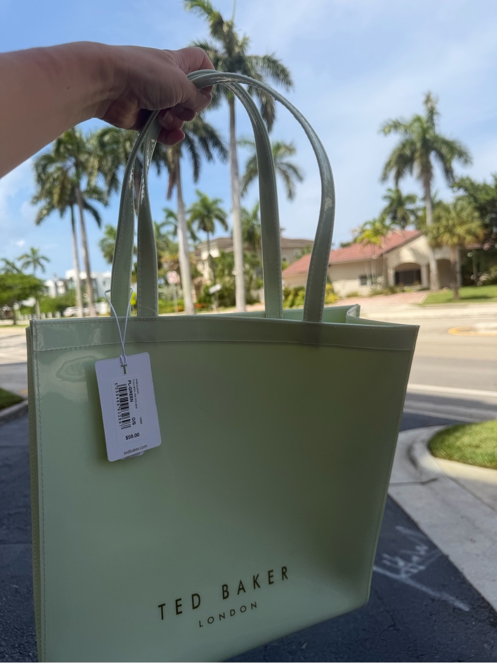 Ted Baker Mint Green Patent Tote